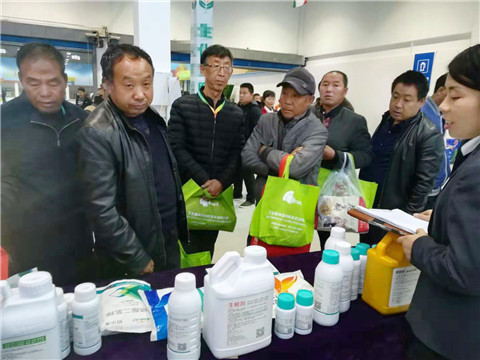 楊凌農(nóng)高會,拉姆拉 楊凌農(nóng)高會,拉姆拉