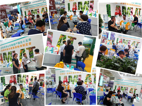 新疆，植保會，拉姆拉，翠姆，伯示麥