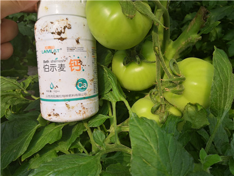 葉面肥，磷酸二氫鉀，鈣肥