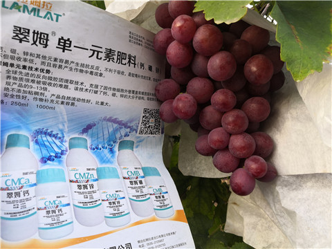 水溶肥，鈣肥，硼肥