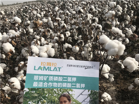 水溶肥，根碧多，生物菌劑