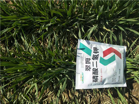 磷酸二氫鉀，