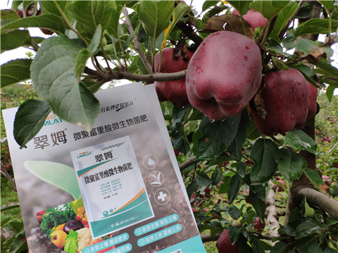 微生物菌劑，