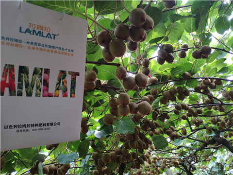 磷酸二氫鉀，葉面肥