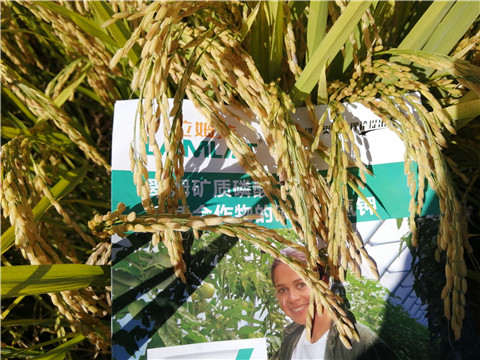 水溶肥，磷酸二氫鉀，