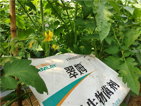 微生物菌劑，