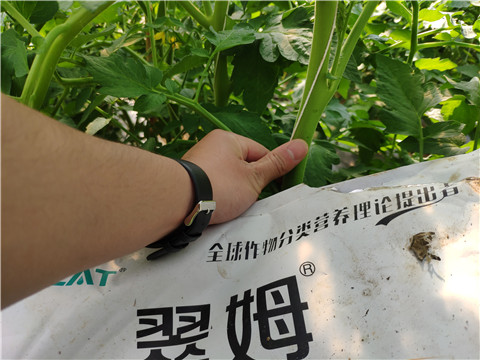 微生物菌劑，