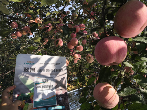 水溶肥，磷酸二氫鉀，微生物菌劑