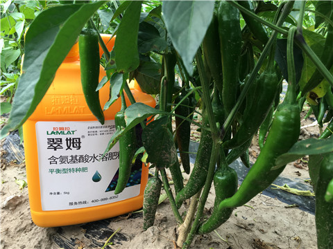 根碧多，微生物菌，葉面肥