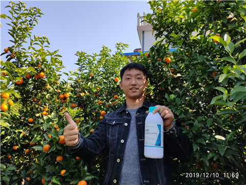 硼肥，拉姆拉