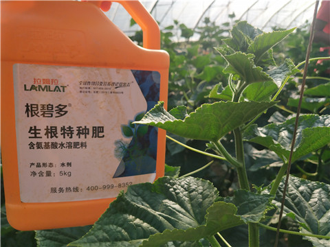 拉姆拉，根碧多，微生物菌劑