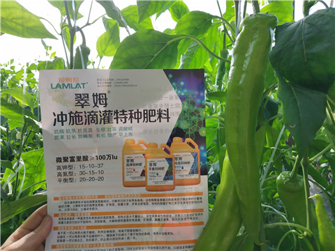 水溶肥，硼肥