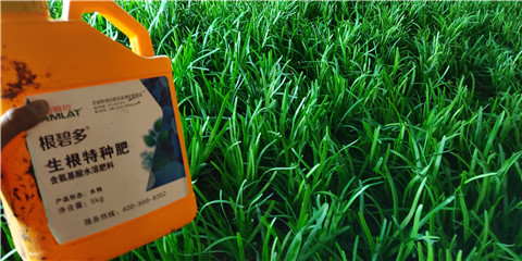 根碧多，拉姆拉