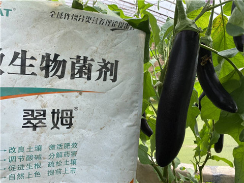 微生物菌劑，拉姆拉