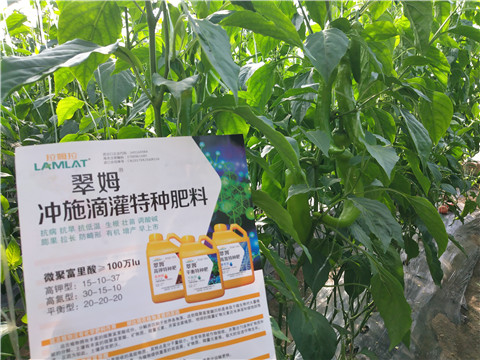 水溶肥，拉姆拉