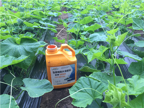 水溶肥，拉姆拉