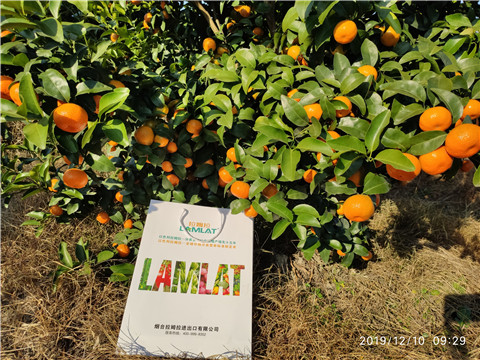 沖施肥，拉姆拉