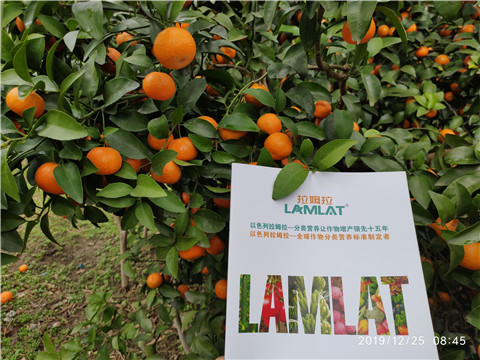 水溶肥，根碧多