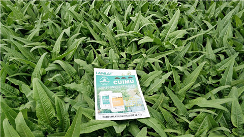 葉面肥，磷酸二氫鉀