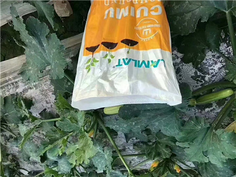 水溶肥，拉姆拉