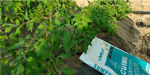 磷酸二氫鉀，鈣肥，水溶肥