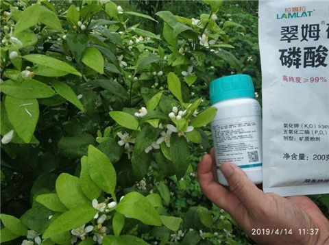 水溶肥，根碧多