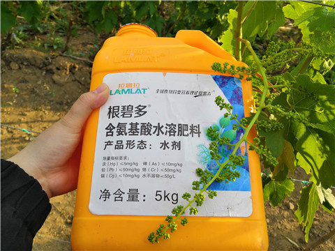 生根劑，微生物菌劑