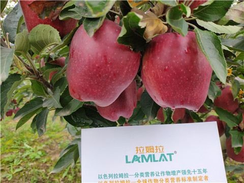 水溶肥 拉姆拉，翠姆