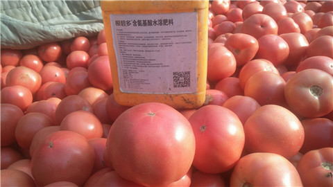 水溶肥，根碧多