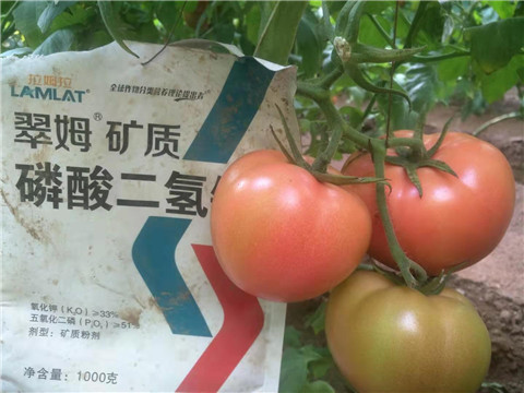 水溶肥，根碧多