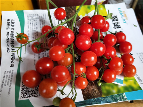 磷酸二氫鉀，鈣肥，根碧多