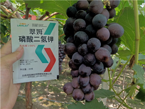 磷酸二氫鉀，葉面肥