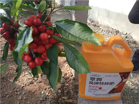 水溶肥，根碧多