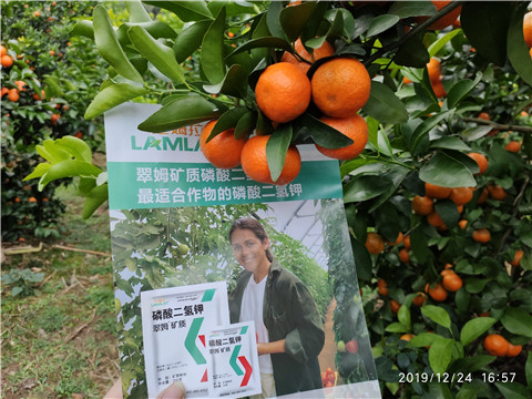 磷酸二氫鉀，鈣肥，硼肥