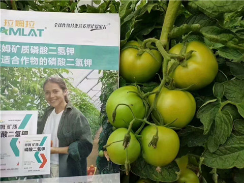 磷酸二氫鉀，鈣肥，水溶肥