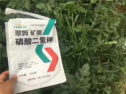 磷酸二氫鉀，硼肥，沖施肥
