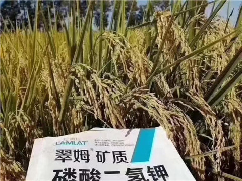 磷酸二氫鉀，翠姆