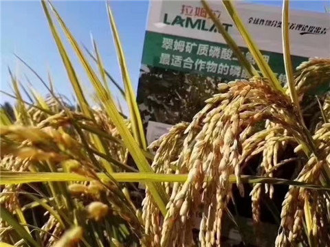 磷酸二氫鉀，翠姆