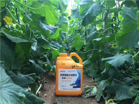 水溶肥，翠姆