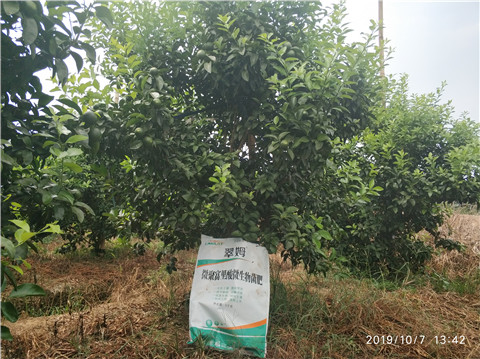 微生物菌劑，拉姆拉