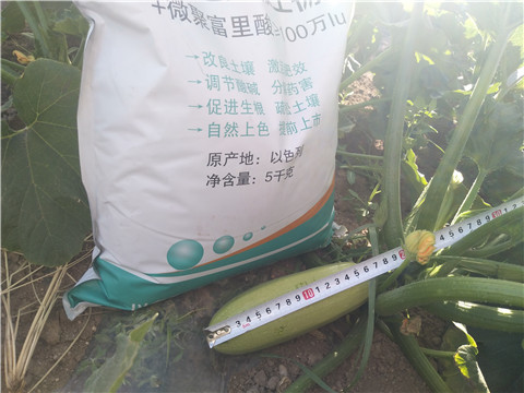 微生物菌劑，磷酸二氫鉀