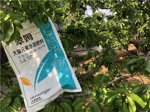 大量元素水溶肥，磷酸二氫鉀，硼肥