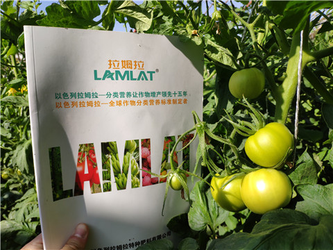 微生物菌劑，拉姆拉，伯示麥