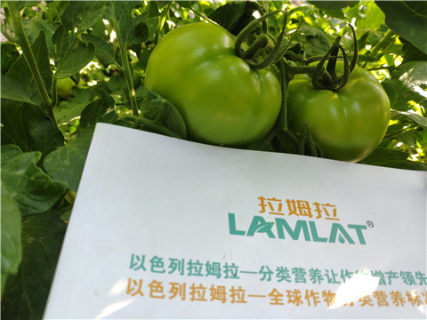 微生物菌劑，拉姆拉，伯示麥