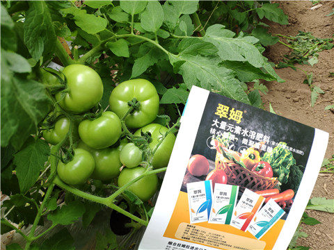 水溶肥，磷酸二氫鉀