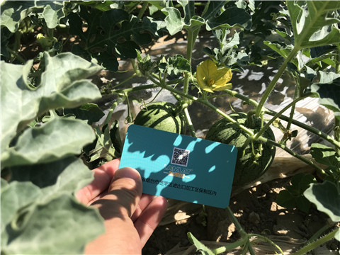 微生物菌劑，磷酸二氫鉀