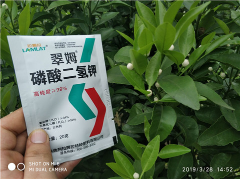 磷酸二氫鉀，硼肥，拉姆拉