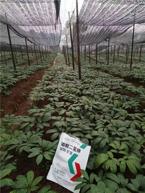 磷酸二氫鉀，安碧解，