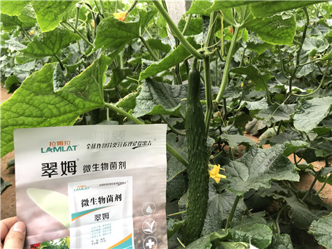 微生物菌劑，水溶肥，拉姆拉