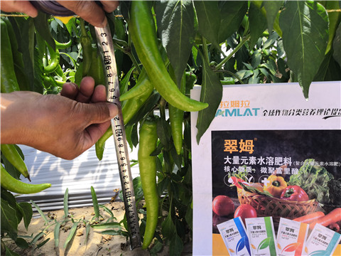 微生物菌劑，復(fù)合肥料，拉姆拉